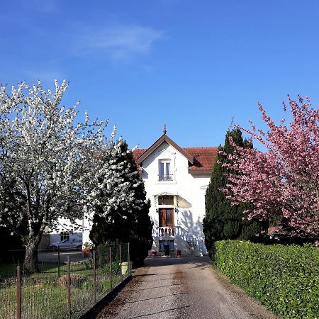 La Maison Mirabeau Verdun-sur-Meuse Dış mekan fotoğraf